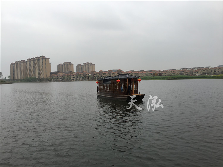 觀光小畫(huà)舫船004